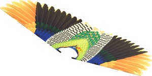 Go Go Bird Peafowl Wings - Go Go Bird