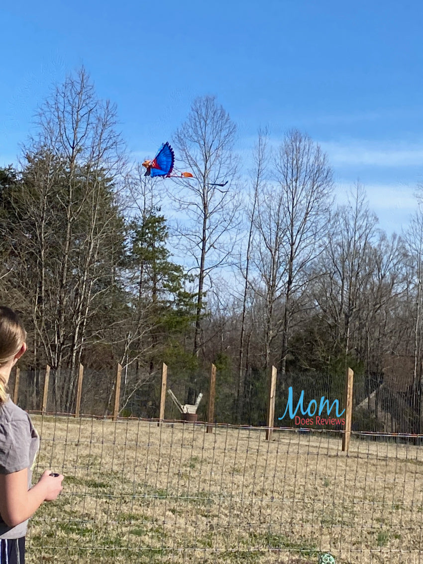 Get Outside with Go Go Bird - Experience with Momdoesreviews