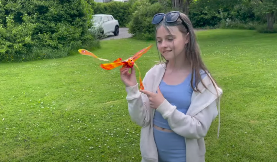 BEST DRONE FOR KIDS? GOGO BIRD