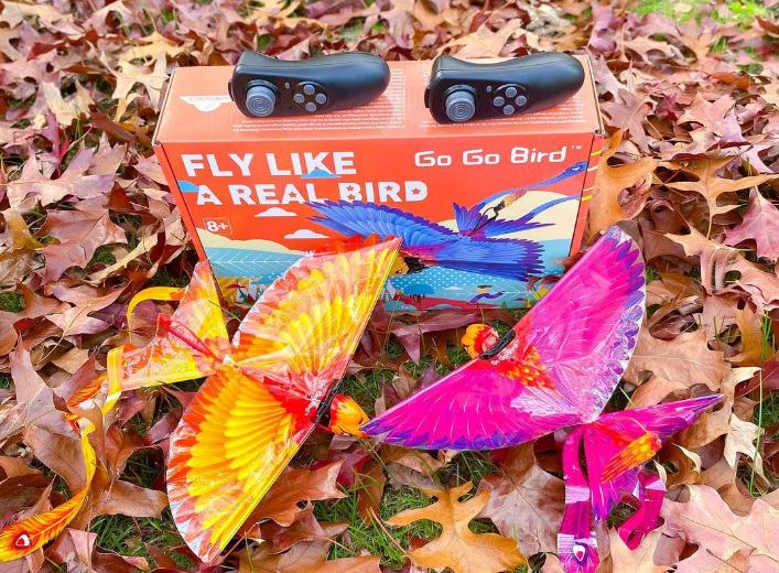 Best Fake-Bird Drone Hanvon GoGo Bird Wired Review