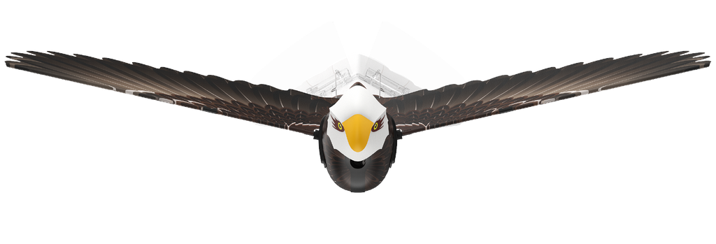 Go Go Bird®1020 -  The Eagle Ornithopter - Go Go Bird
